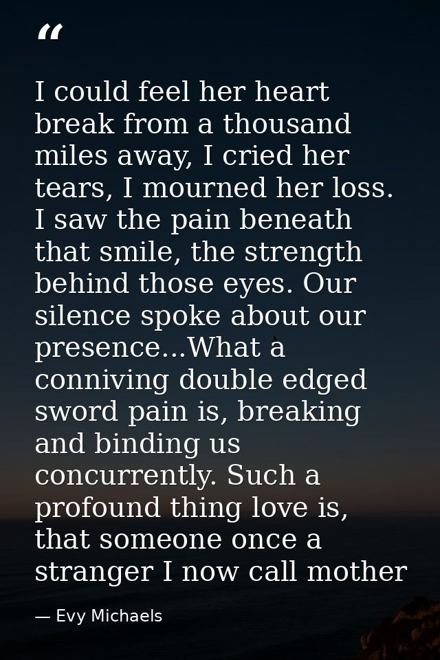 I could feel her heart break from a thousand miles away, I cried her tears, I mourned her loss. I saw the pain beneath t — Evy Michaels