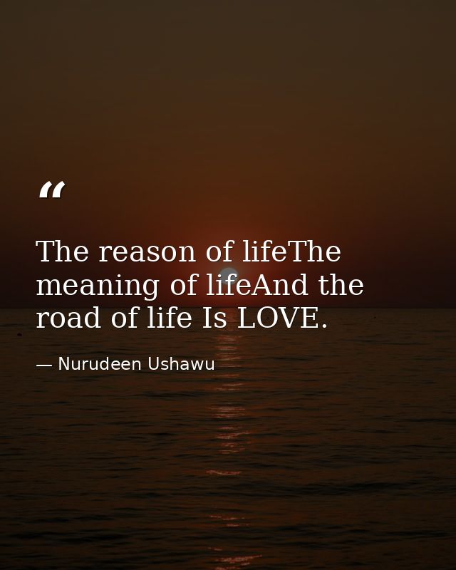 The reason of lifeThe meaning of lifeAnd the road of life Is LOVE. — Nurudeen Ushawu