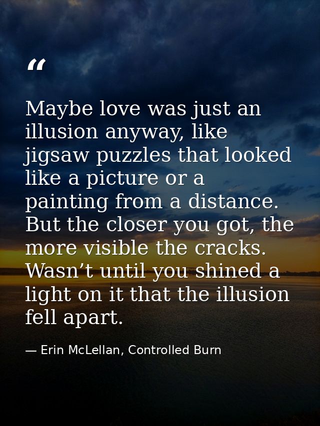 Maybe love was just an illusion anyway, like jigsaw puzzles that looked like a picture or a painting from a distance. Bu — Erin McLellan, Controlled Burn