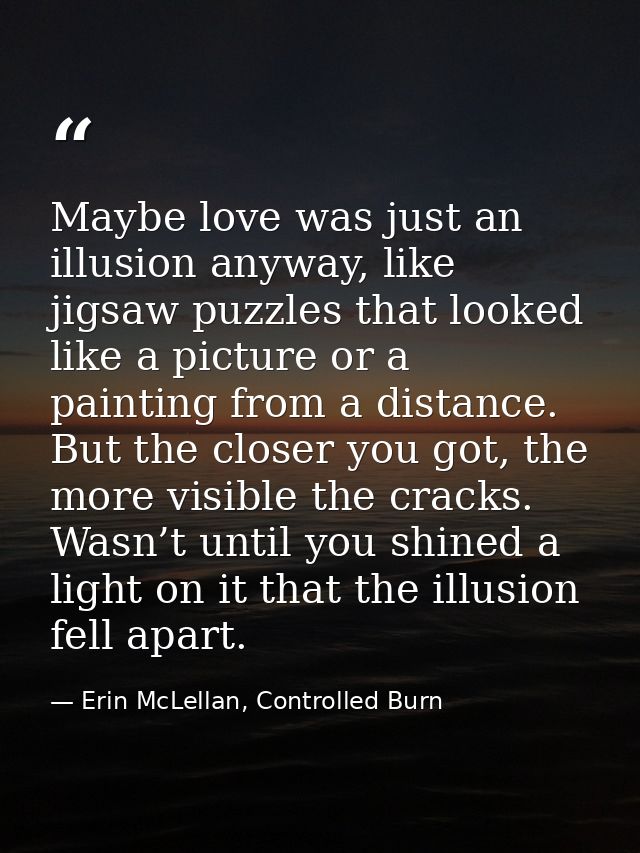 Maybe love was just an illusion anyway, like jigsaw puzzles that looked like a picture or a painting from a distance. Bu — Erin McLellan, Controlled Burn