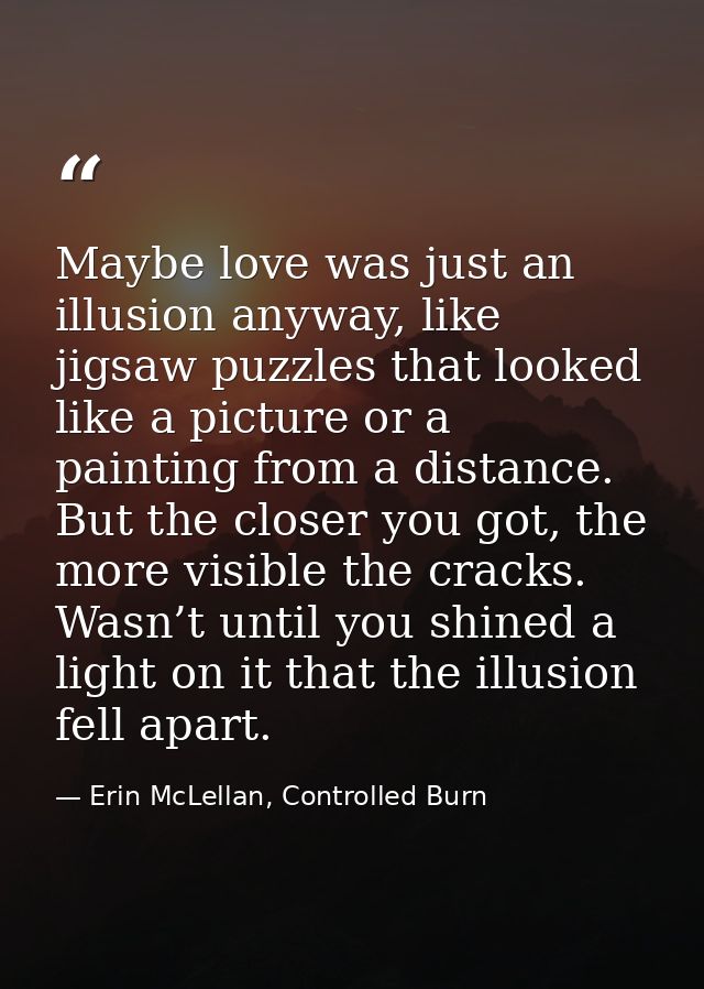 Maybe love was just an illusion anyway, like jigsaw puzzles that looked like a picture or a painting from a distance. Bu — Erin McLellan, Controlled Burn