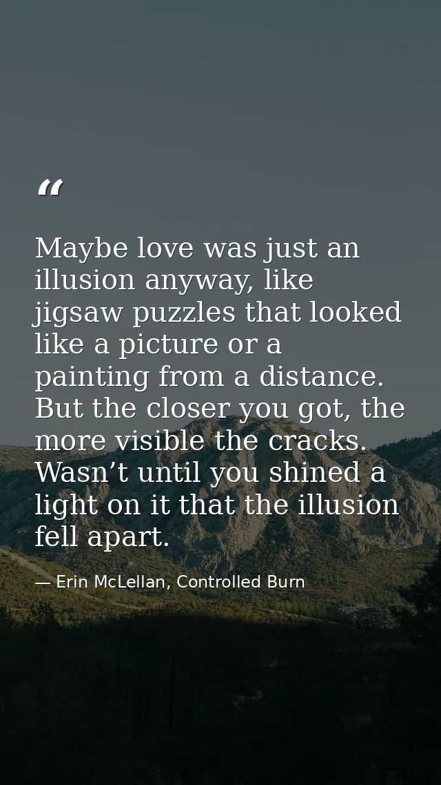Maybe love was just an illusion anyway, like jigsaw puzzles that looked like a picture or a painting from a distance. Bu — Erin McLellan, Controlled Burn