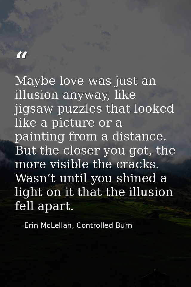 Maybe love was just an illusion anyway, like jigsaw puzzles that looked like a picture or a painting from a distance. Bu — Erin McLellan, Controlled Burn