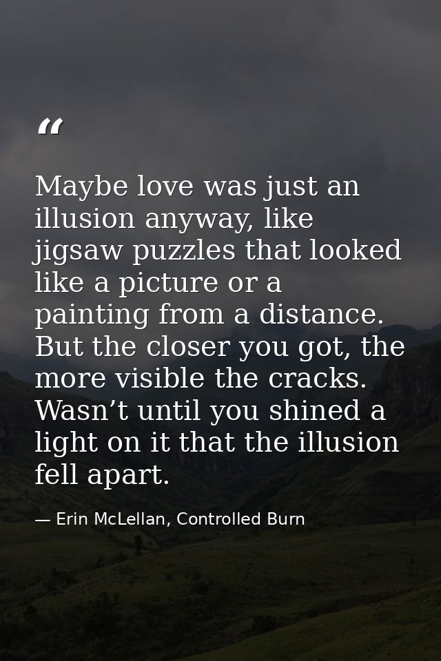 Maybe love was just an illusion anyway, like jigsaw puzzles that looked like a picture or a painting from a distance. Bu — Erin McLellan, Controlled Burn