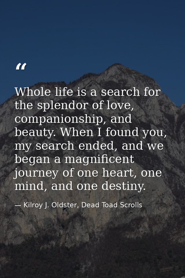 Whole life is a search for the splendor of love, companionship, and beauty. When I found you, my search ended, and we be — Kilroy J. Oldster, Dead Toad Scrolls