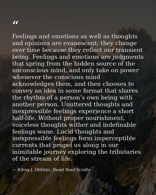 Feelings and emotions as well as thoughts and opinions are evanescent; they change over time because they reflect our tr — Kilroy J. Oldster, Dead Toad Scrolls