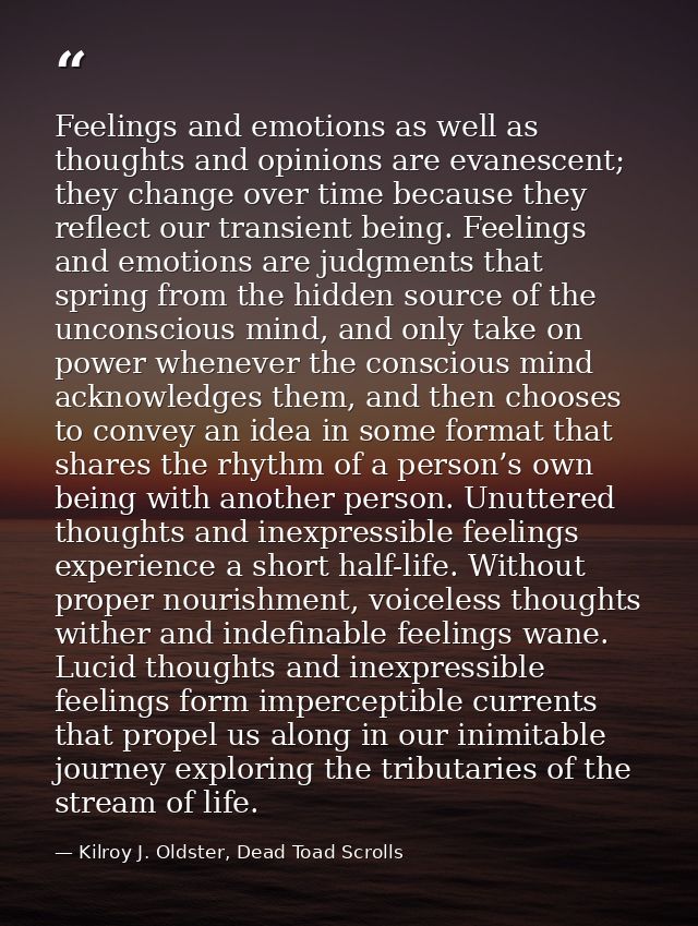Feelings and emotions as well as thoughts and opinions are evanescent; they change over time because they reflect our tr — Kilroy J. Oldster, Dead Toad Scrolls