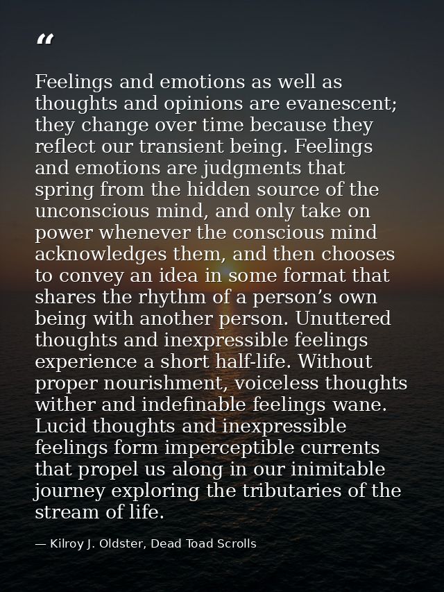 Feelings and emotions as well as thoughts and opinions are evanescent; they change over time because they reflect our tr — Kilroy J. Oldster, Dead Toad Scrolls