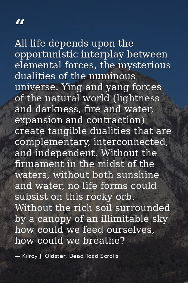 All life depends upon the opportunistic interplay between elemental forces, the mysterious dualities of the numinous uni — Kilroy J. Oldster, Dead Toad Scrolls