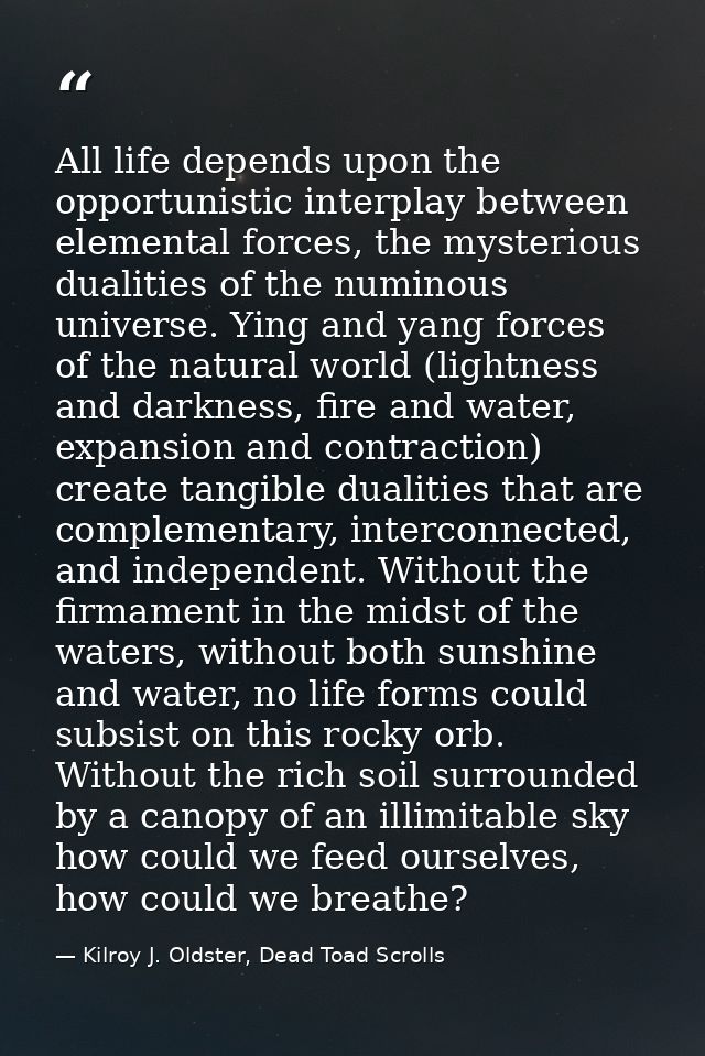 All life depends upon the opportunistic interplay between elemental forces, the mysterious dualities of the numinous uni — Kilroy J. Oldster, Dead Toad Scrolls