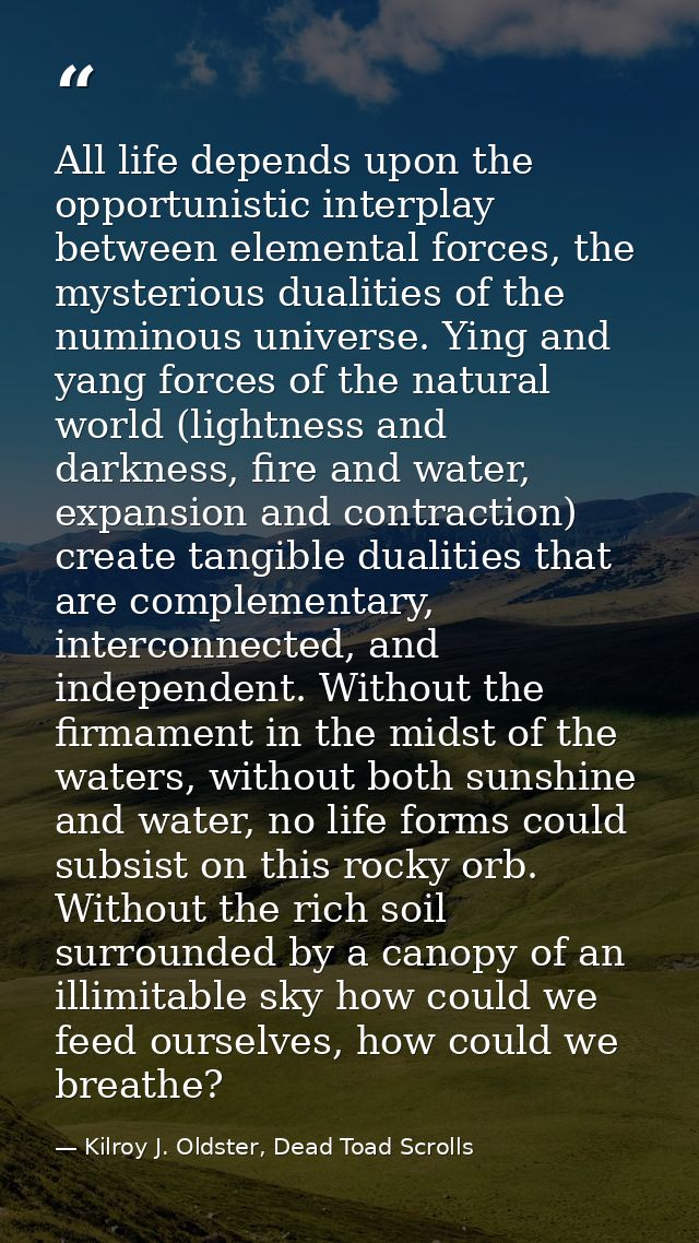 All life depends upon the opportunistic interplay between elemental forces, the mysterious dualities of the numinous uni — Kilroy J. Oldster, Dead Toad Scrolls