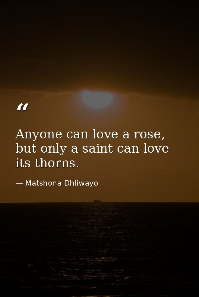 Anyone can love a rose, but only a saint can love its thorns. — Matshona Dhliwayo