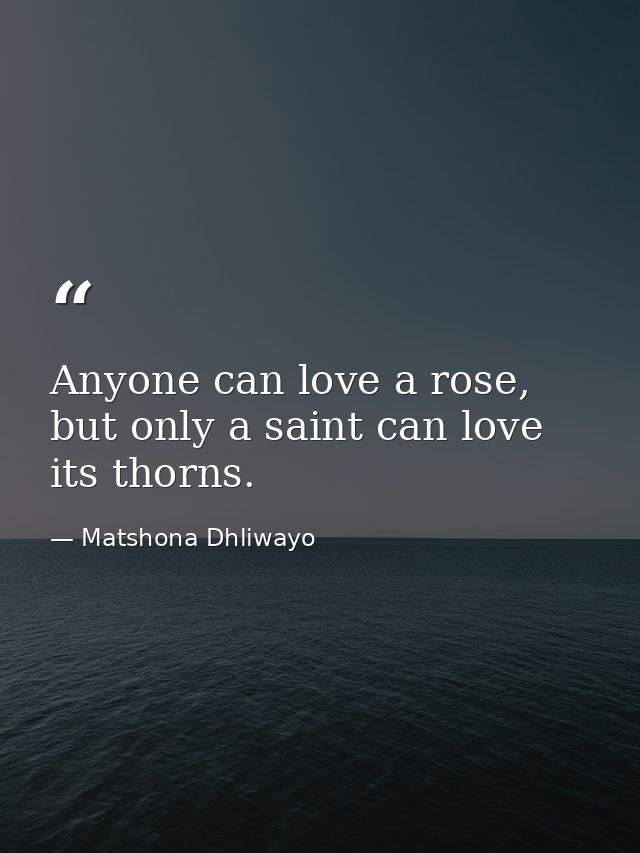 Anyone can love a rose, but only a saint can love its thorns. — Matshona Dhliwayo