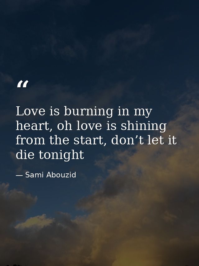 Love is burning in my heart, oh love is shining from the start, don’t let it die tonight — Sami Abouzid