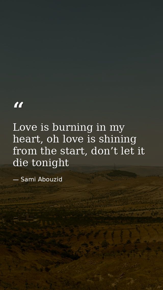 Love is burning in my heart, oh love is shining from the start, don’t let it die tonight — Sami Abouzid