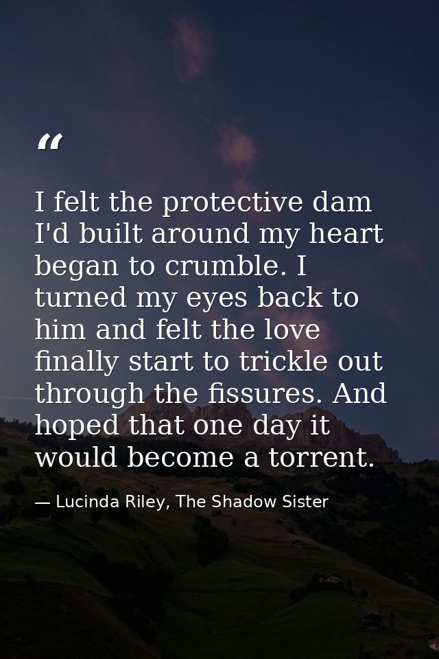 I felt the protective dam I'd built around my heart began to crumble. I turned my eyes back to him and felt the love fin — Lucinda Riley, The Shadow Sister