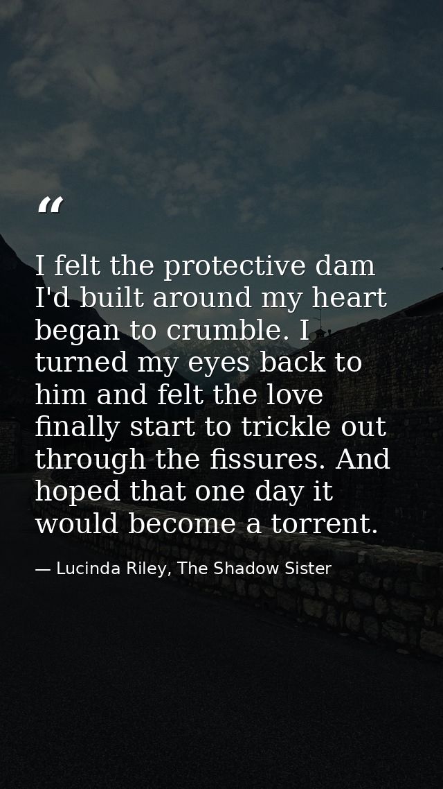 I felt the protective dam I'd built around my heart began to crumble. I turned my eyes back to him and felt the love fin — Lucinda Riley, The Shadow Sister