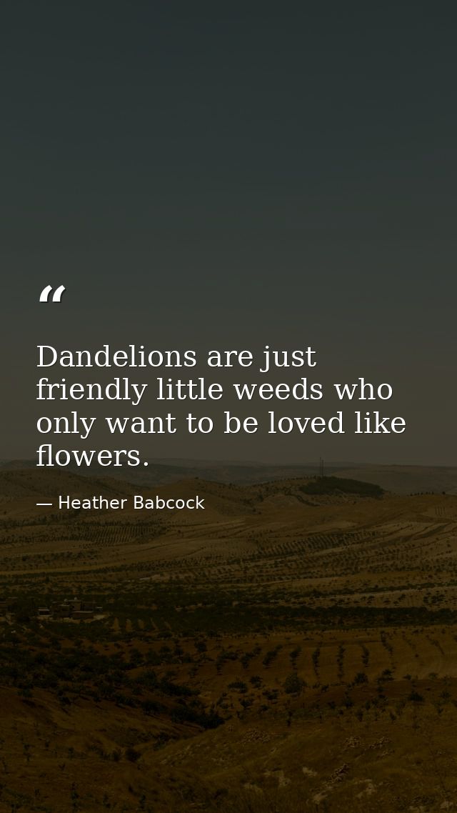 Dandelions are just friendly little weeds who only want to be loved like flowers. — Heather Babcock