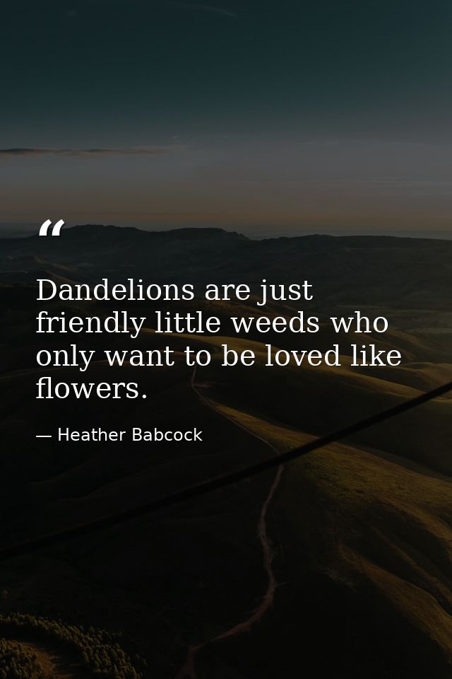 Dandelions are just friendly little weeds who only want to be loved like flowers. — Heather Babcock