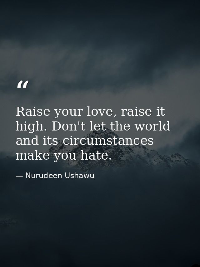 Raise your love, raise it high. Don't let the world and its circumstances make you hate. — Nurudeen Ushawu