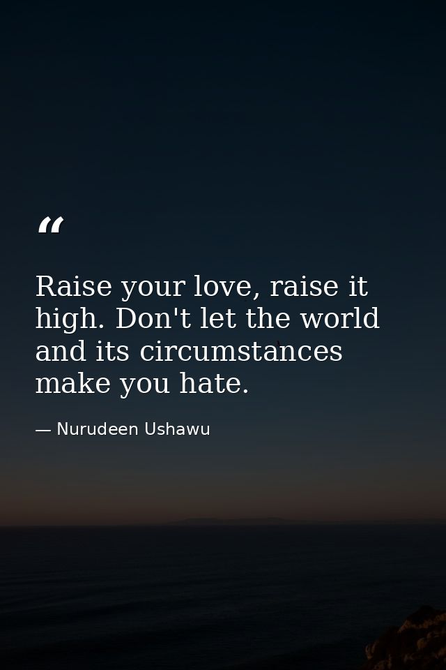 Raise your love, raise it high. Don't let the world and its circumstances make you hate. — Nurudeen Ushawu