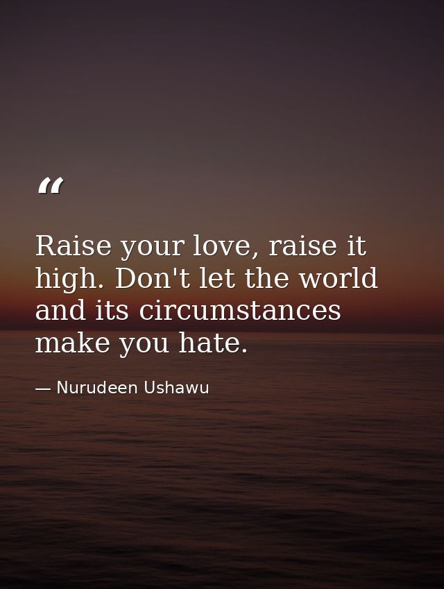 Raise your love, raise it high. Don't let the world and its circumstances make you hate. — Nurudeen Ushawu
