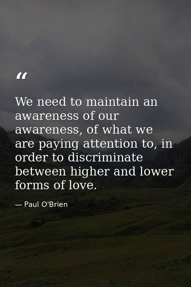 We need to maintain an awareness of our awareness, of what we are paying attention to, in order to discriminate between  — Paul O'Brien