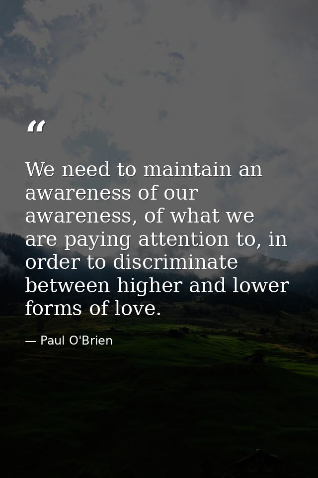 We need to maintain an awareness of our awareness, of what we are paying attention to, in order to discriminate between  — Paul O'Brien