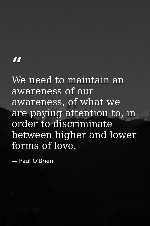 We need to maintain an awareness of our awareness, of what we are paying attention to, in order to discriminate between  — Paul O'Brien