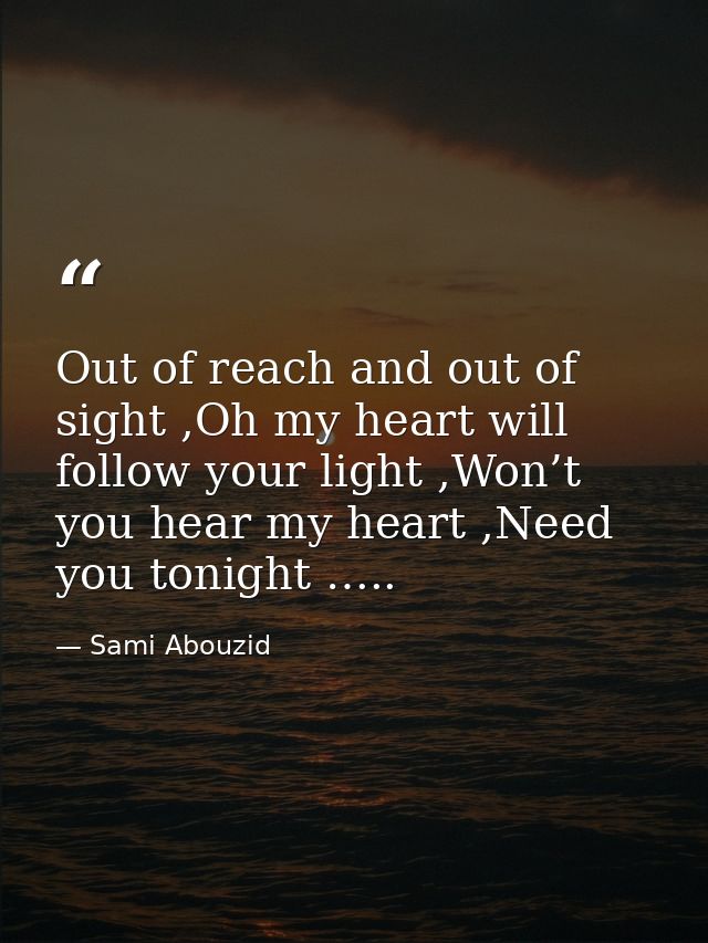Out of reach and out of sight ,Oh my heart will follow your light ,Won’t you hear my heart ,Need you tonight ….. — Sami Abouzid