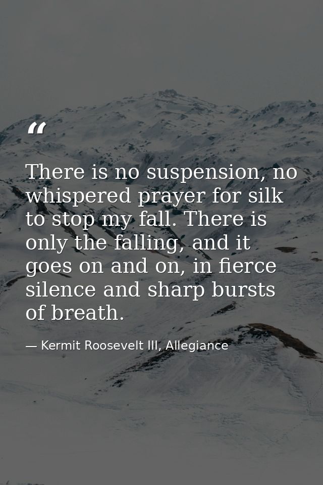 There is no suspension, no whispered prayer for silk to stop my fall. There is only the falling, and it goes on and on,  — Kermit Roosevelt III, Allegiance