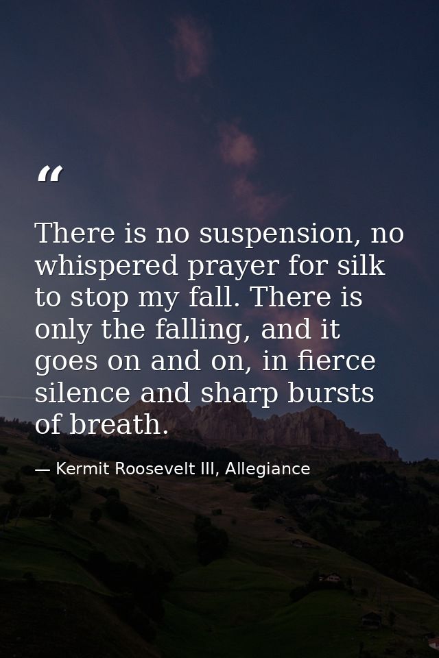 There is no suspension, no whispered prayer for silk to stop my fall. There is only the falling, and it goes on and on,  — Kermit Roosevelt III, Allegiance