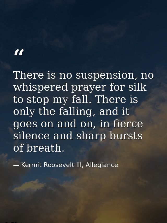 There is no suspension, no whispered prayer for silk to stop my fall. There is only the falling, and it goes on and on,  — Kermit Roosevelt III, Allegiance