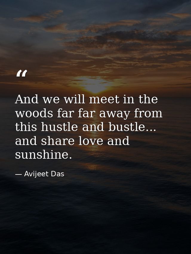 And we will meet in the woods far far away from this hustle and bustle... and share love and sunshine. — Avijeet Das