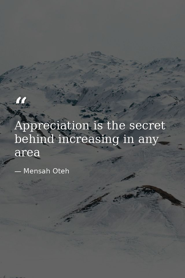 Appreciation is the secret behind increasing in any area — Mensah Oteh