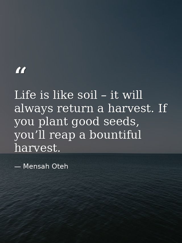 Life is like soil – it will always return a harvest. If you plant good seeds, you’ll reap a bountiful harvest. — Mensah Oteh