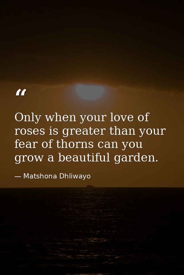 Only when your love of roses is greater than your fear of thorns can you grow a beautiful garden. — Matshona Dhliwayo