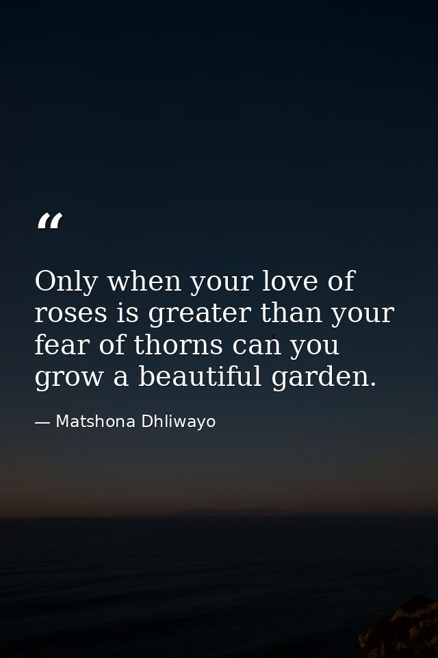 Only when your love of roses is greater than your fear of thorns can you grow a beautiful garden. — Matshona Dhliwayo