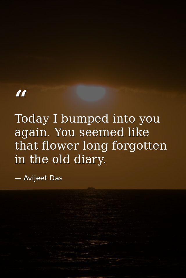 Today I bumped into you again. You seemed like that flower long forgotten in the old diary. — Avijeet Das
