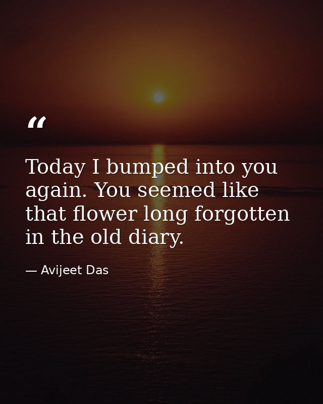Today I bumped into you again. You seemed like that flower long forgotten in the old diary. — Avijeet Das