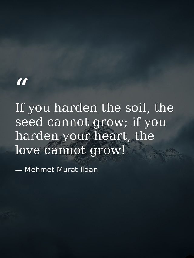 If you harden the soil, the seed cannot grow; if you harden your heart, the love cannot grow! — Mehmet Murat ildan