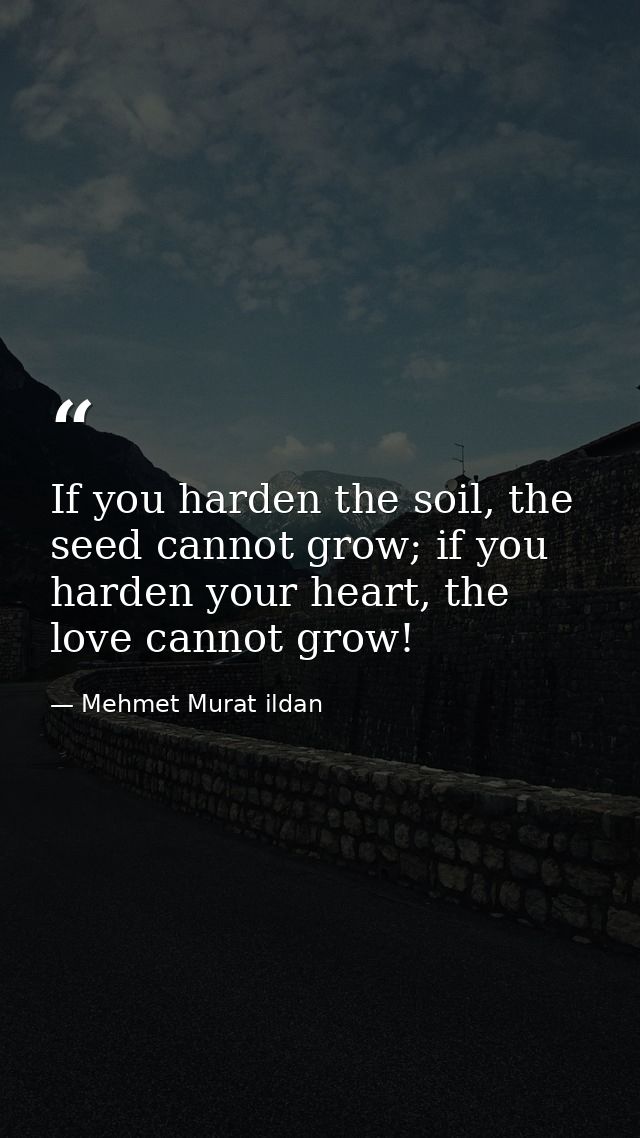 If you harden the soil, the seed cannot grow; if you harden your heart, the love cannot grow! — Mehmet Murat ildan