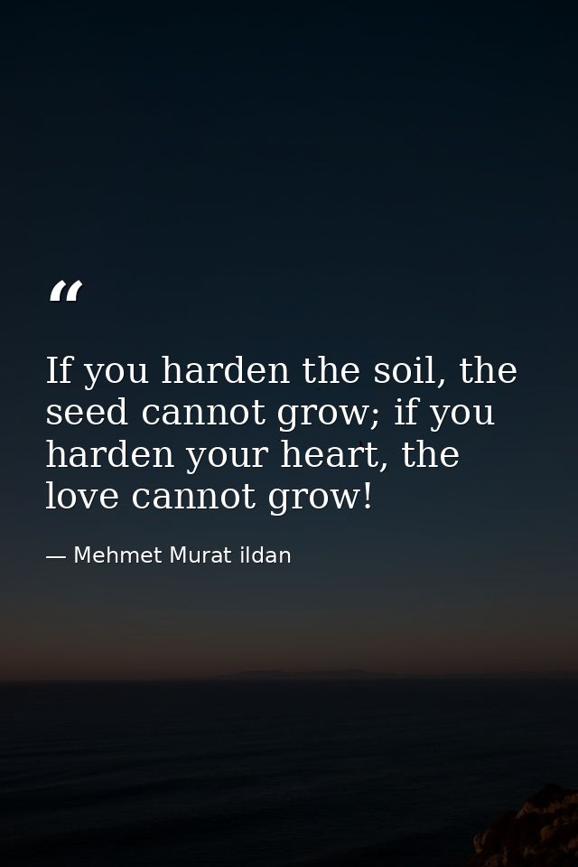 If you harden the soil, the seed cannot grow; if you harden your heart, the love cannot grow! — Mehmet Murat ildan