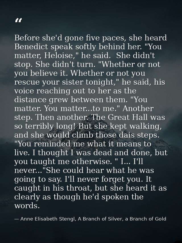Before she'd gone five paces, she heard Benedict speak softly behind her. "You matter, Heloise," he said.  She didn't st — Anne Elisabeth Stengl, A Branch of Silver, a Branch of Gold