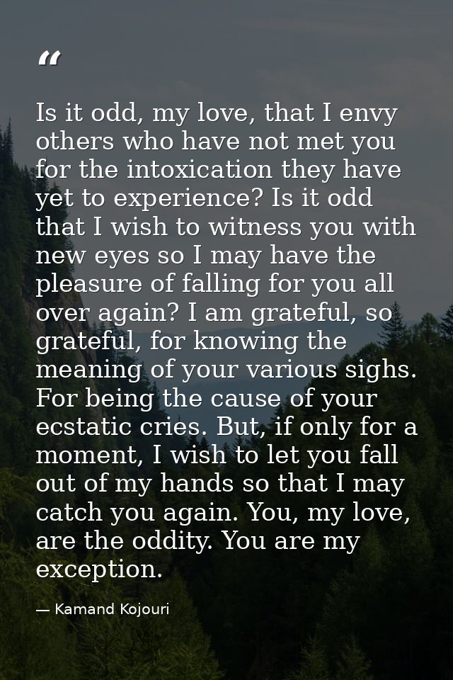 Is it odd, my love, that I envy others who have not met you for the intoxication they have yet to experience? Is it odd  — Kamand Kojouri