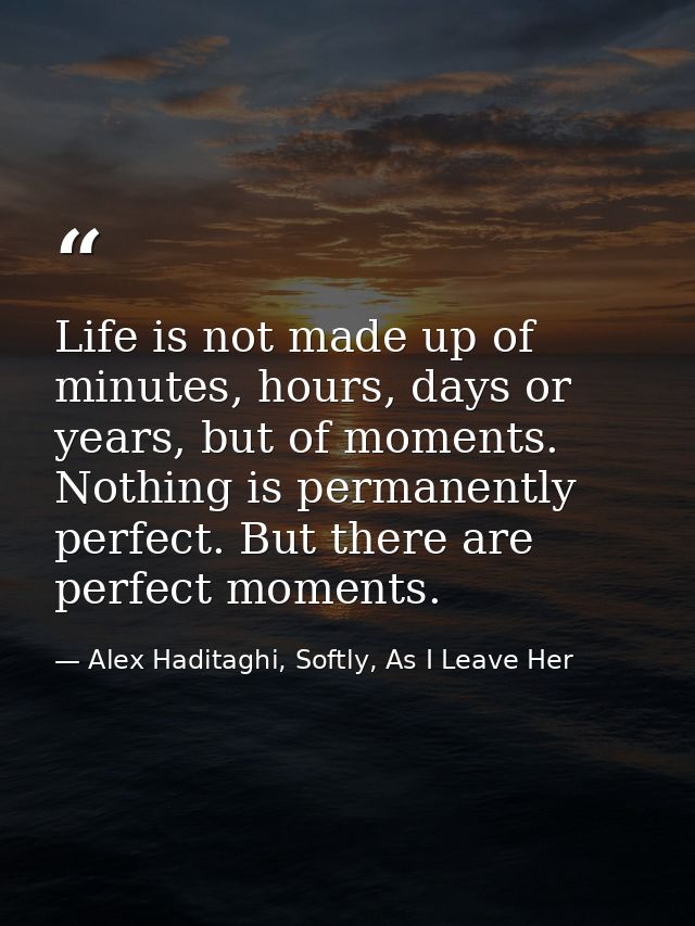 Life is not made up of minutes, hours, days or years, but of moments. Nothing is permanently perfect. But there are perf — Alex Haditaghi, Softly, As I Leave Her
