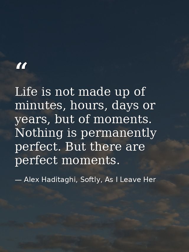 Life is not made up of minutes, hours, days or years, but of moments. Nothing is permanently perfect. But there are perf — Alex Haditaghi, Softly, As I Leave Her