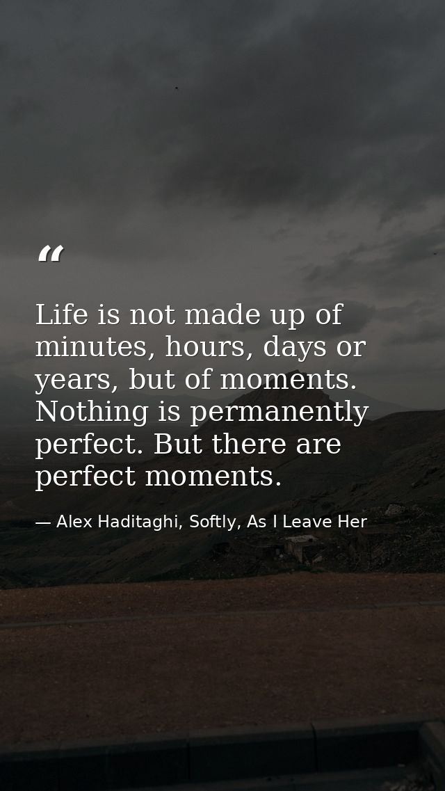Life is not made up of minutes, hours, days or years, but of moments. Nothing is permanently perfect. But there are perf — Alex Haditaghi, Softly, As I Leave Her