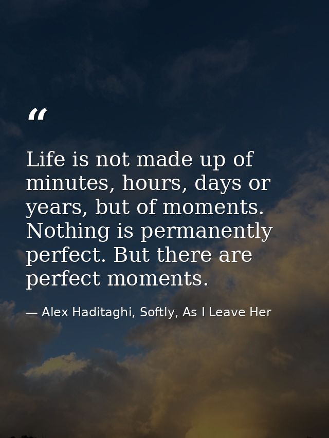 Life is not made up of minutes, hours, days or years, but of moments. Nothing is permanently perfect. But there are perf — Alex Haditaghi, Softly, As I Leave Her