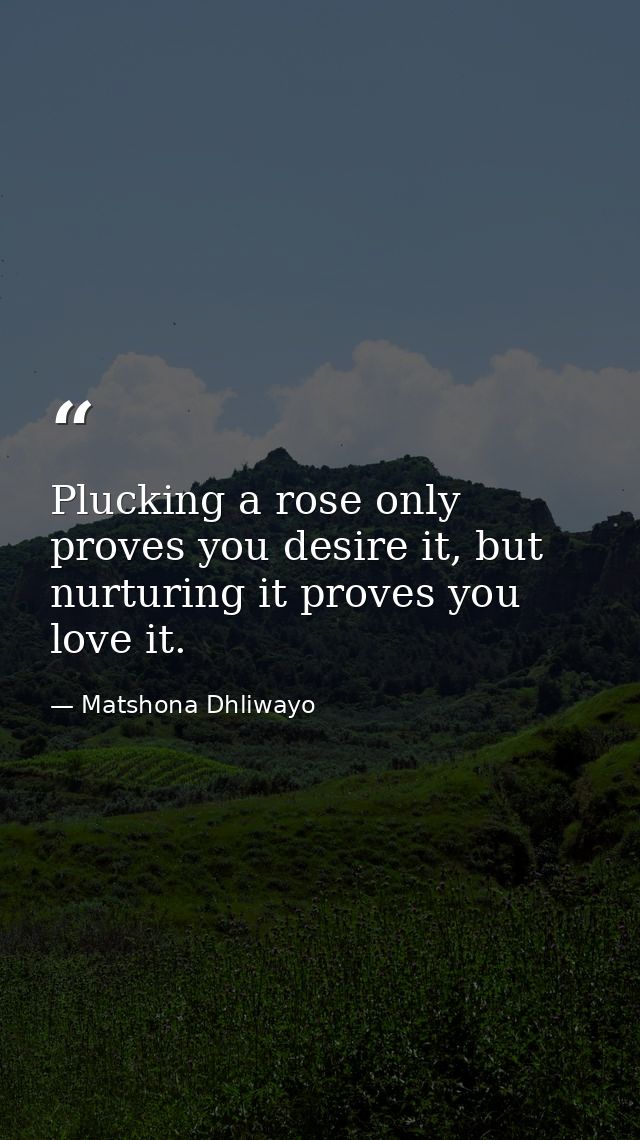Plucking a rose only proves you desire it, but nurturing it proves you love it. — Matshona Dhliwayo